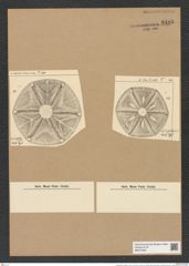 Actinoptychus sculptilis A. Schm. (de-Toni-Nr.: Genus 227, Species 5595) Zeichnungen Sammlung Grunow Nr. 9486 (NHMW-BOT-W0379460)